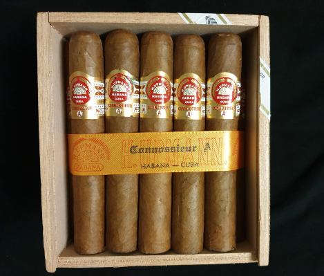 H. Upmann Connossieur A 2017