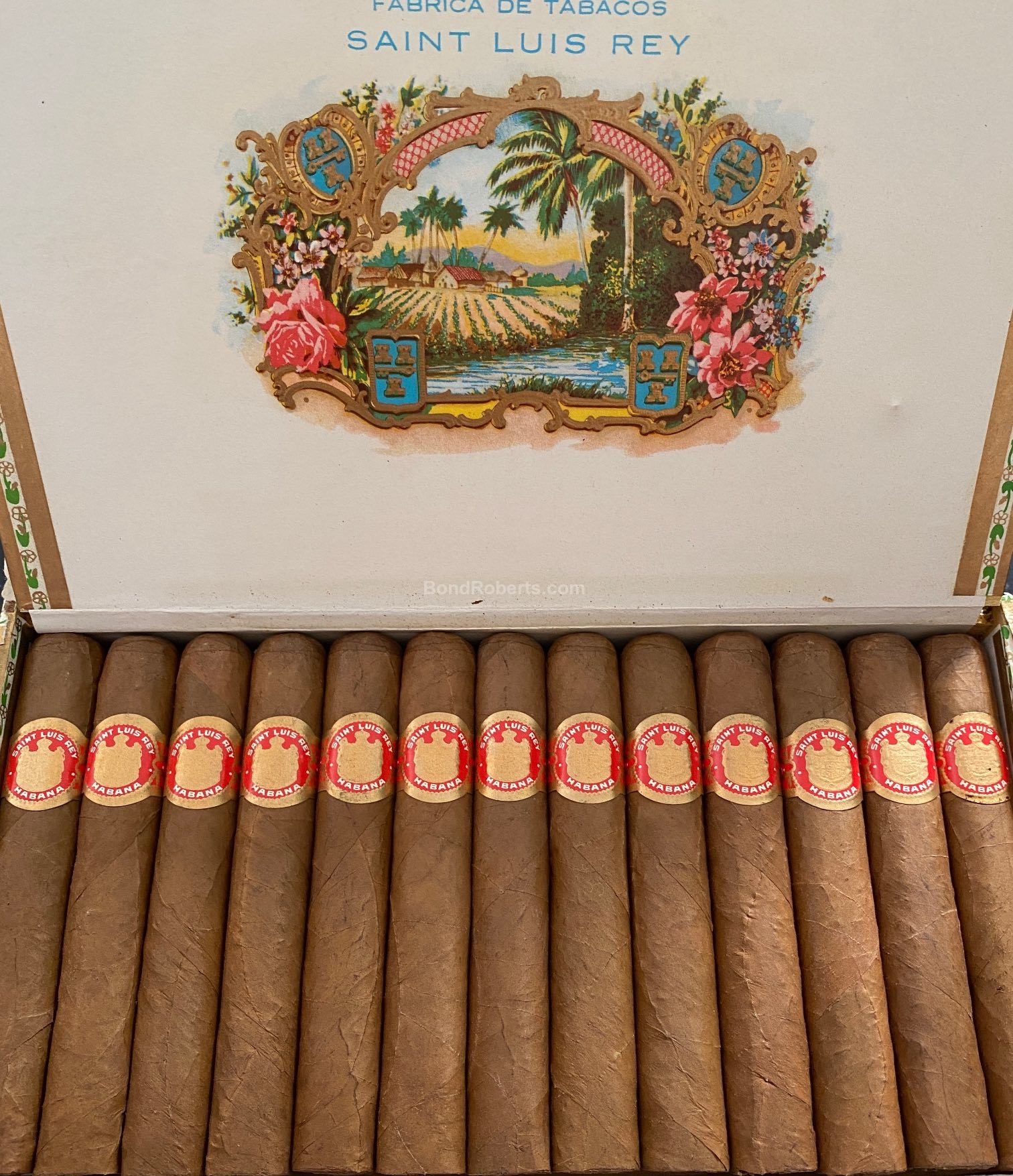 Saint Luis Rey Regios 2001